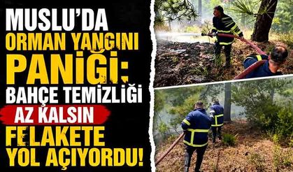 Muslu'da orman yangını paniği: Bahçe temizliği az kalsın felakete yol açıyordu!
