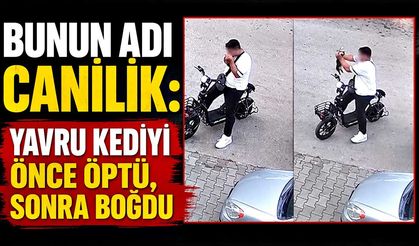Bunun adı canilik: Yavru kediyi önce öptü, sonra boğdu