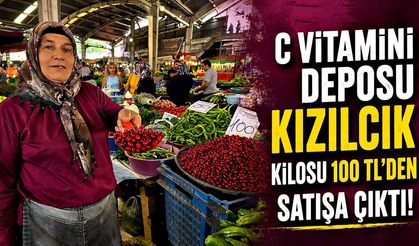 C Vitamini Deposu Kızılcık Kilosu 100 TL’den Satışa Çıktı!