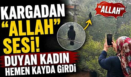 Karganın "Allah" diye ses çıkardığı anlar kameraya yansıdı