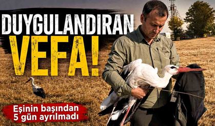 Duygulandıran vefa! Elektrik akımına kapılan eşinin başından 5 gün ayrılmadı