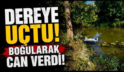 Otomobil dereye uçtu: Sürücü hayatını kaybetti