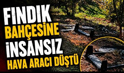 Düzce’de fındık bahçesine şüpheli bir cisim düştü