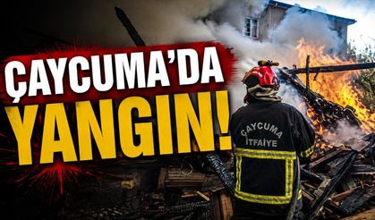 Çaycuma’da odunluk yangınına ilk müdahaleyi jandarma ekipleri yaptı