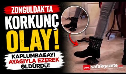 Kaplumbağayı ayağıyla ezen şüpheli gözaltına alındı