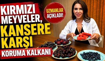 Kırmızı meyveler, kansere karşı koruma kalkanı