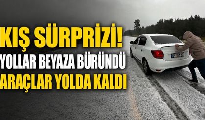 Ağustos ayında kış sürprizi! Yollar beyaza büründü, araçlar yollarda mahsur kaldı