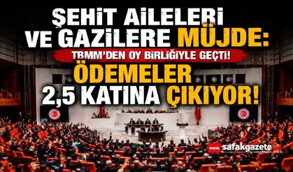 Şehit Aileleri Ve Gaziler İçin Yeni Dönem: Aylıklar Ve Ödemeler Artıyor