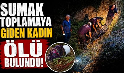 Sumak toplamaya giden kadın ölü bulundu