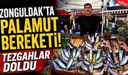 Zonguldakta palamut sevinci