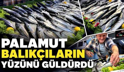Balıkçıların yüzünü palamut bolluğu güldürdü