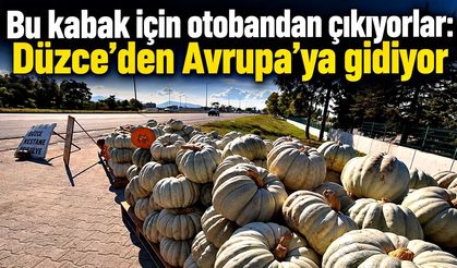 Bu kabak için otobandan çıkıyorlar: Düzce’den Avrupa’ya gidiyor