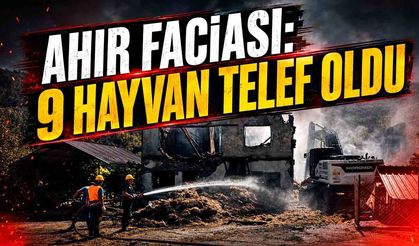 Bartın’da ahır faciası: 9 hayvan telef oldu