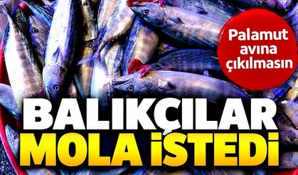 Palamut bolluğu sonrası balıkçılardan mola çağrısı