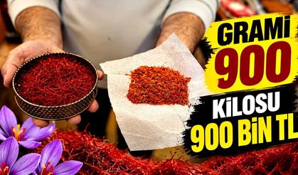 Gramı 900, kilosu 900 bin TL: 150 bin çiçekten sadece 1 kilo çıkıyor