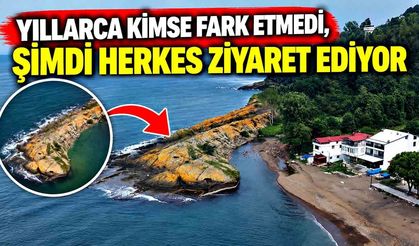 Yıllarca fark edilmedi, şimdi görmek için geliyorlar