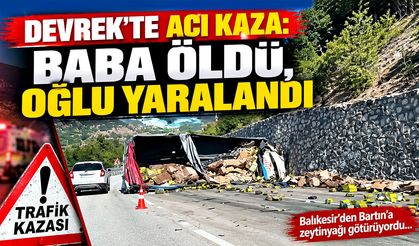 Devrek’te acı kaza: Baba öldü, oğlu yaralandı