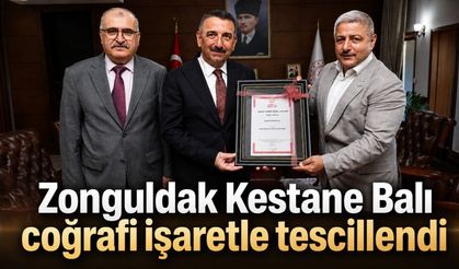 Zonguldak Kestane Balı coğrafi işaretle tescillendi