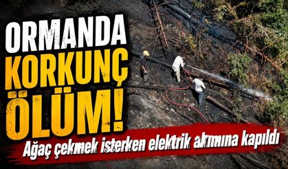 Ağaç çekerken elektrik akımına kapılan vatandaş öldü, ormanlık alanda yangın çıktı