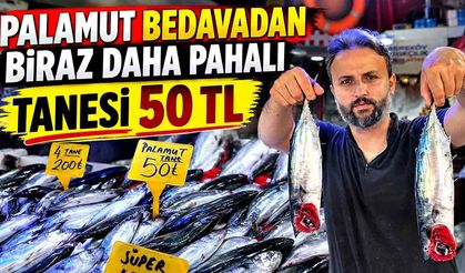 Palamut bedavadan biraz daha pahalı: Tanesi 50 TL
