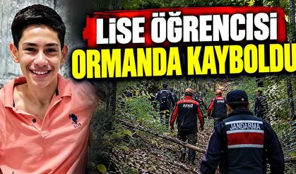 Okuldan çıktı, ormanlık alana gitti; Öğrenciden haber yok