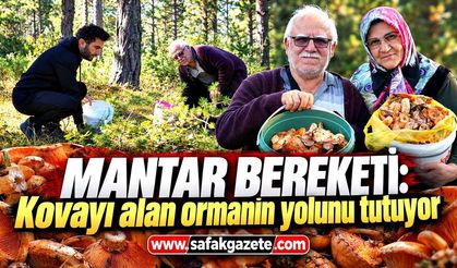 Mantar bereketi: Kovayı alan ormanın yolunu tutuyor