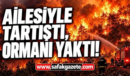 Ailesiyle tartıştı, ormanı yaktı!