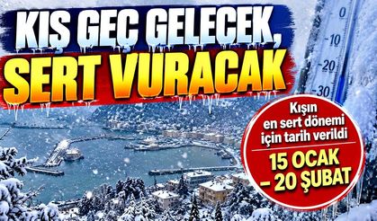 Kış geç gelecek, sert vuracak: En sert dönem için tarih verildi