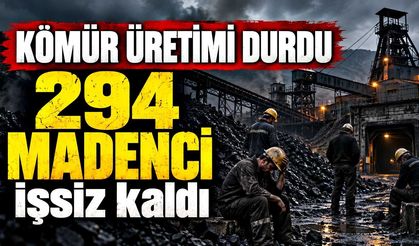 Kömür üretimi durdu: 294 madenci işsiz kaldı