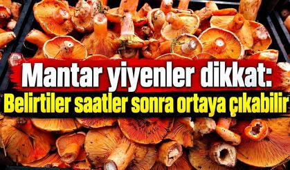 Mantar yiyenler dikkat: Belirtiler saatler sonra ortaya çıkabilir