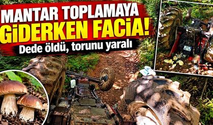 Mantar toplamaya giderken facia: Dede öldü, torunu yaralandı