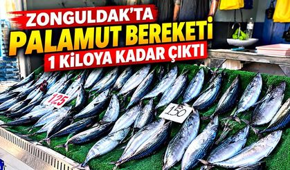 Zonguldak’ta palamut bereketi: 1 kiloya kadar çıktı