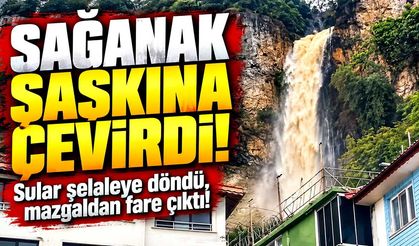 Sağanak şaşkına çevirdi! Sular şelaleye döndü, fare mazgaldan kaçtı