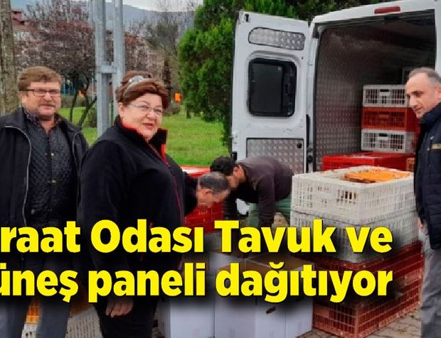 Devrek Ziraat Odası Tavuk ve güneş paneli dağıtıyor