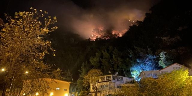 Orman yangını yerleşim bölgesine ulaşmadan kontrol altına alındı