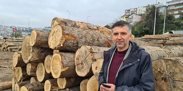 Zonguldak'ın orman ürünlerini 7 ülkeye ihraç ediyorlar