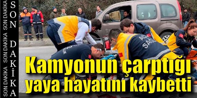 Zonguldak'ta kamyonun çarptığı yaya hayatını kaybetti