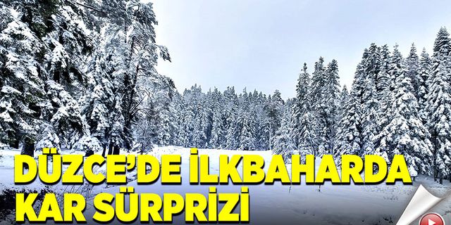 Düzce'de ilkbaharda kar sürprizi