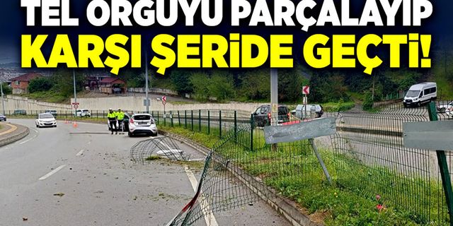 Tel örgüyü parçalayıp karşı şeride geçti!