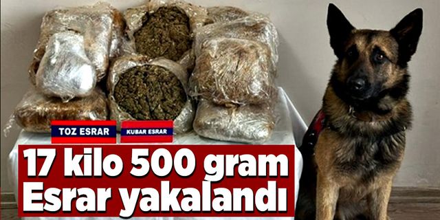 Bolu’da 17 kilo 500 gram esrarla yakalanan şüpheli gözaltına alındı