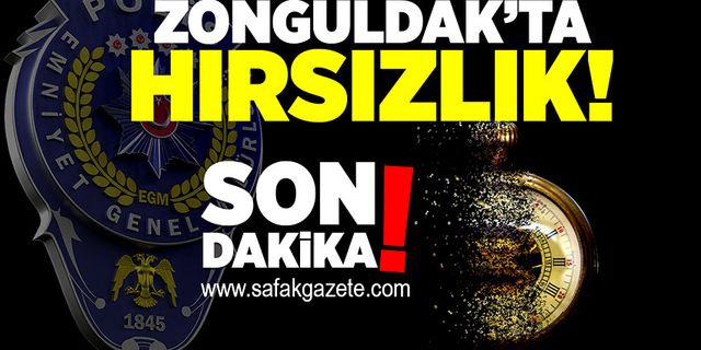 Zonguldak’ta hırsızlık ihbarı üzerine, polisler harekete geçti