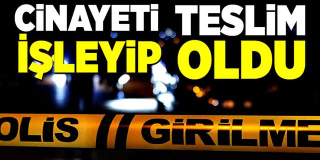 Cinayeti işleyip jandarmaya teslim oldu!