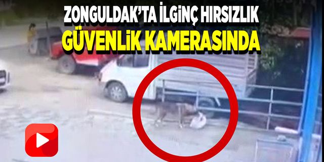 Zonguldak’ta ilginç bir hırsızlık, görenler şaşkınlığını gizleyemedi