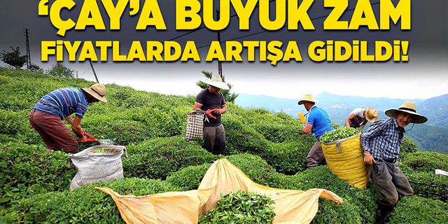 Çay’a büyük zam fiyatlarda artışa gidildi!
