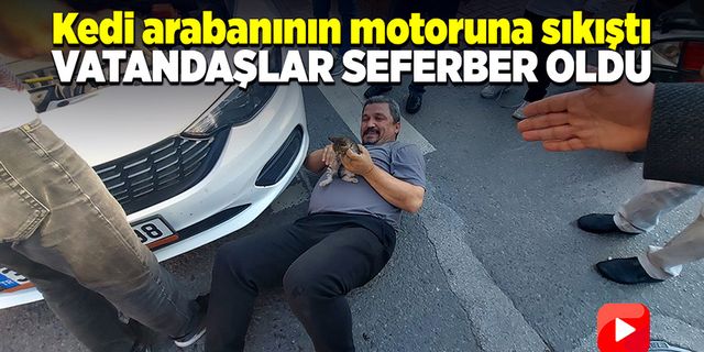 Ereğli'de otomobilin motor kısmına kedi sıkıştı!