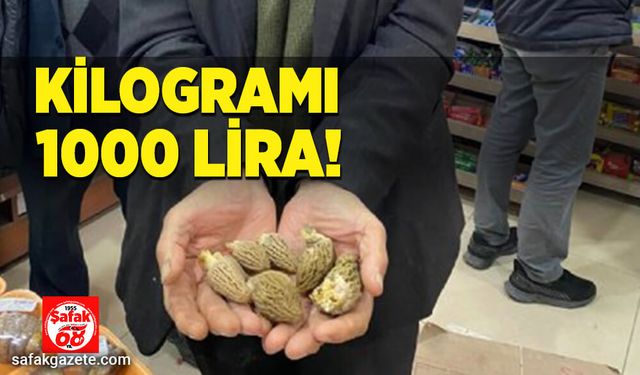 Kilogramı 1000 lira!