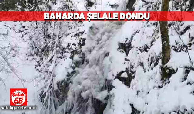 Baharda şelale dondu