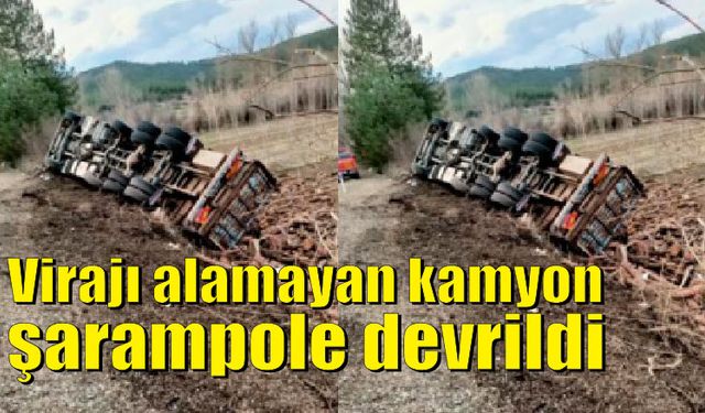 Virajı alamayan kamon şarampole devrildi