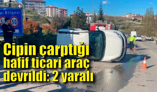 Cipin çarptığı hafif ticari araç devrildi: 2 yaralı