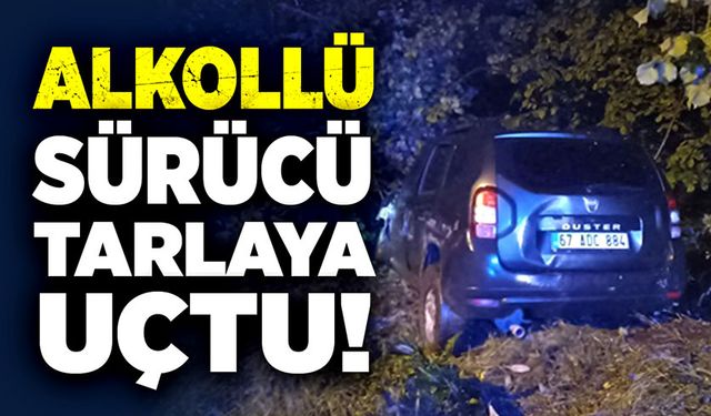 Alkollü sürücü tarlaya uçtu!